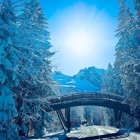 Stylish Gem Appartement Kandersteg