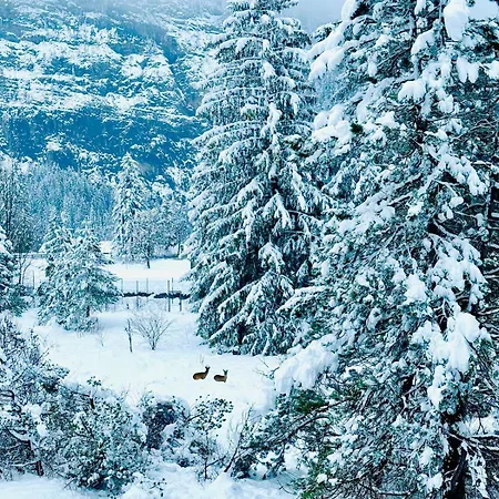 Apartmán Stylish Gem